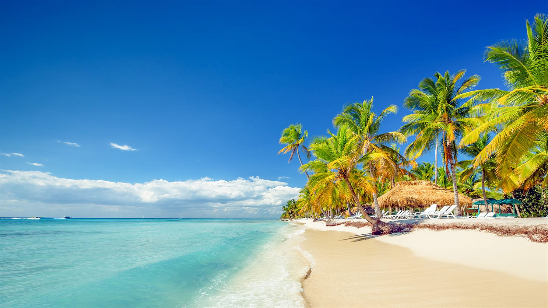 Costa de Saona en el archivo de Owen Dominican Tours
